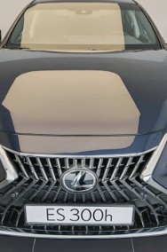 Lexus ES VII 300h Business Edition 2.5 E-CVT 300h Business Edition 2.5 E-CVT 218KM-2