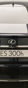 Lexus ES VII 300h Business Edition 2.5 E-CVT 300h Business Edition 2.5 E-CVT 218KM-4