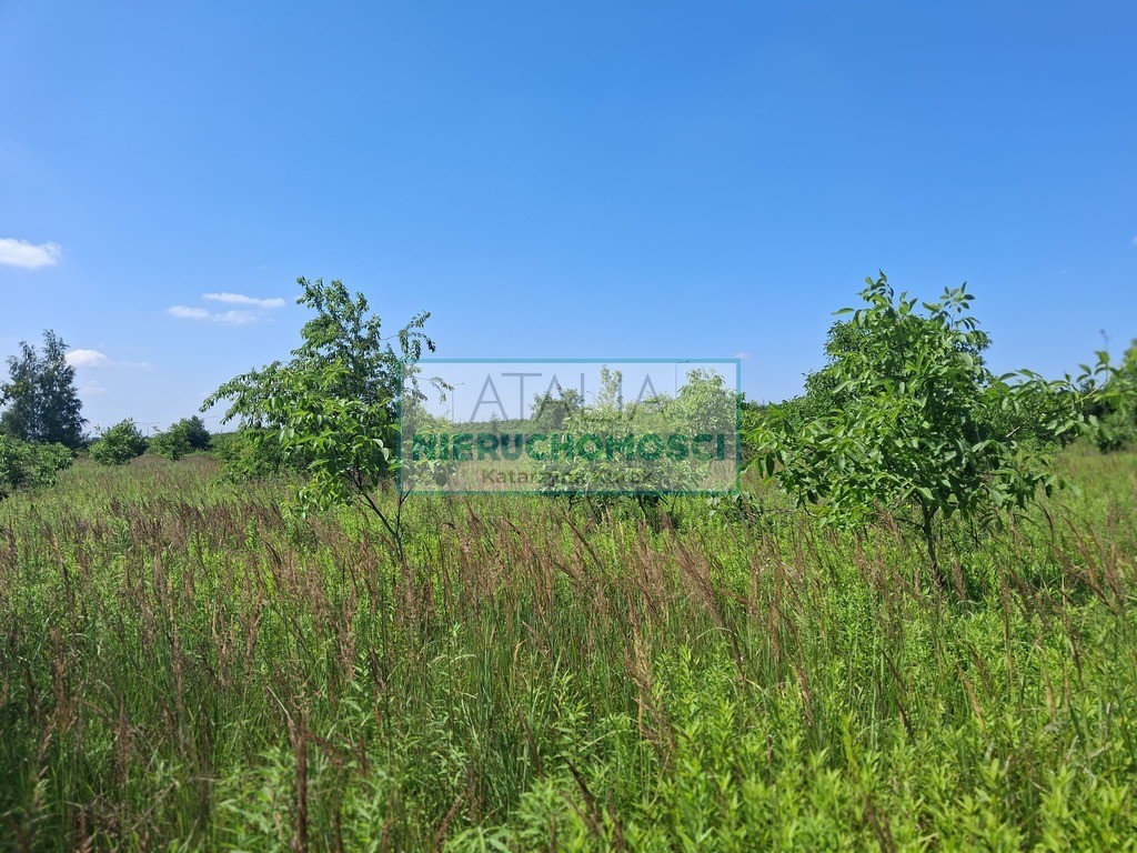 Działka usługowo-budowlana - Widok 4