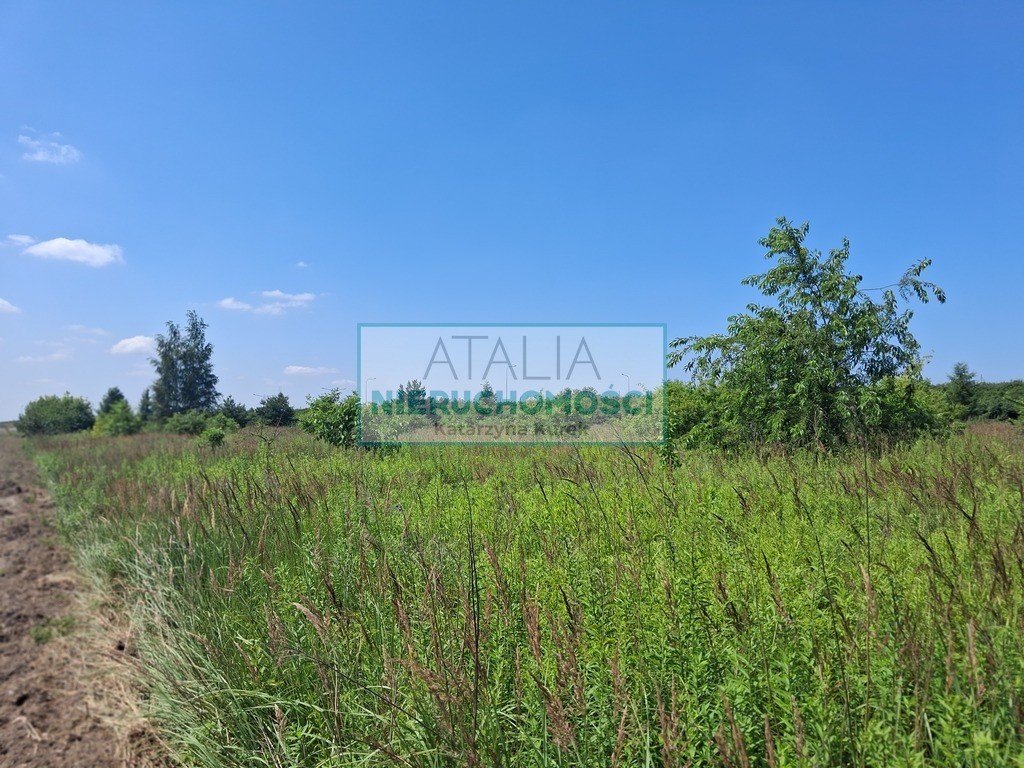 Działka usługowo-budowlana - Widok 6