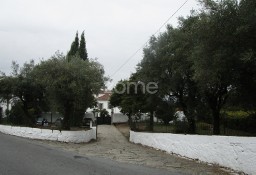 Dom Viana Do Castelo