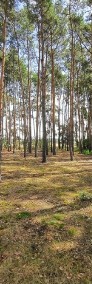Wyjątkowa działka z kawałkiem lasu-Drużyna-3