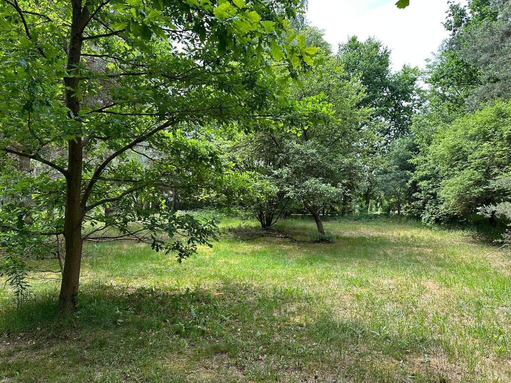 Działka inwestycyjna w otulinie lasu. - Vista 2