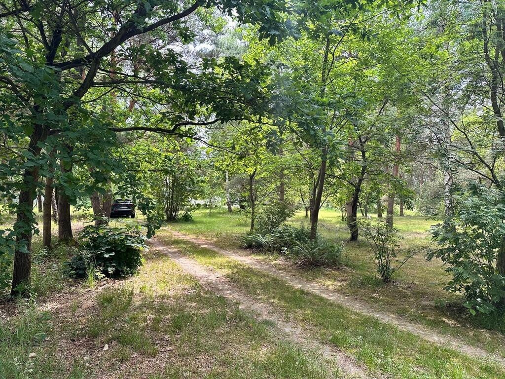 Działka inwestycyjna w otulinie lasu. - Vista 3