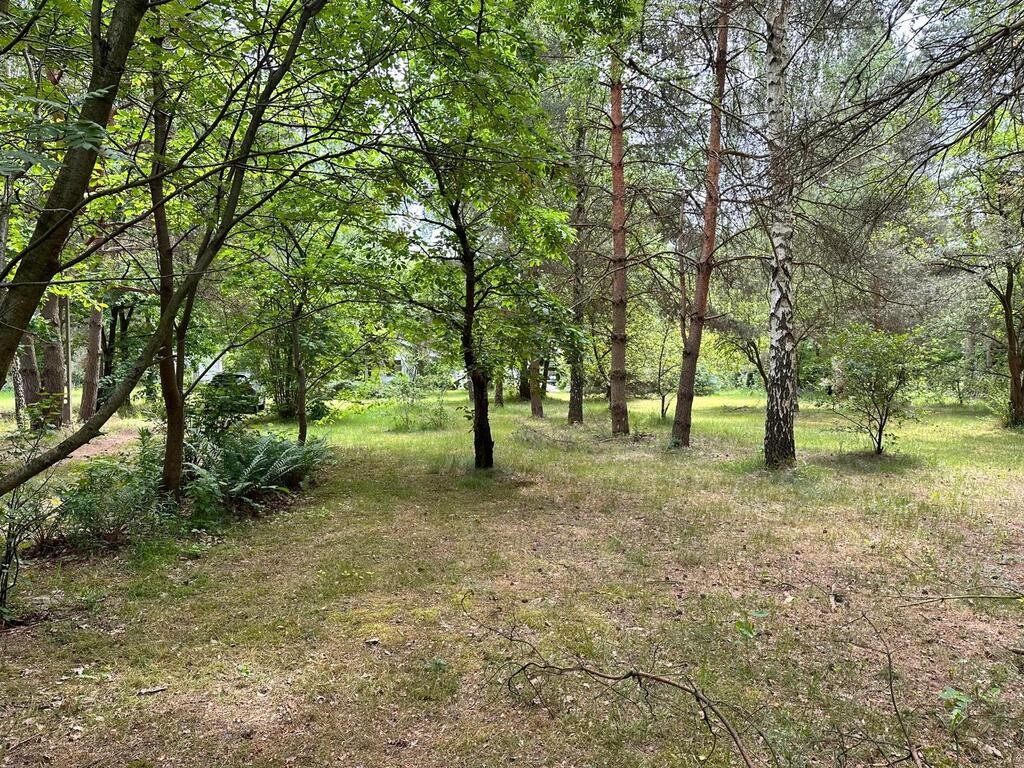 Działka inwestycyjna w otulinie lasu. - Vista 5