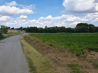 Wilków- 20a piękna działka - świetna cena-1