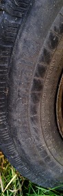 Iveco DAILY 65C17-4