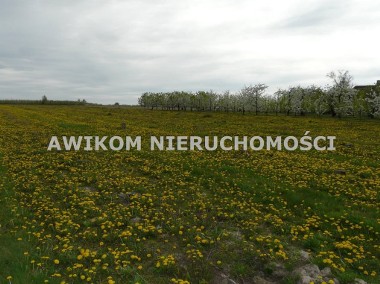 Działka, sprzedaż, 10335.00, Wycinka Wolska, Kowiesy (gm.), Skierniewicki (pow.)-1