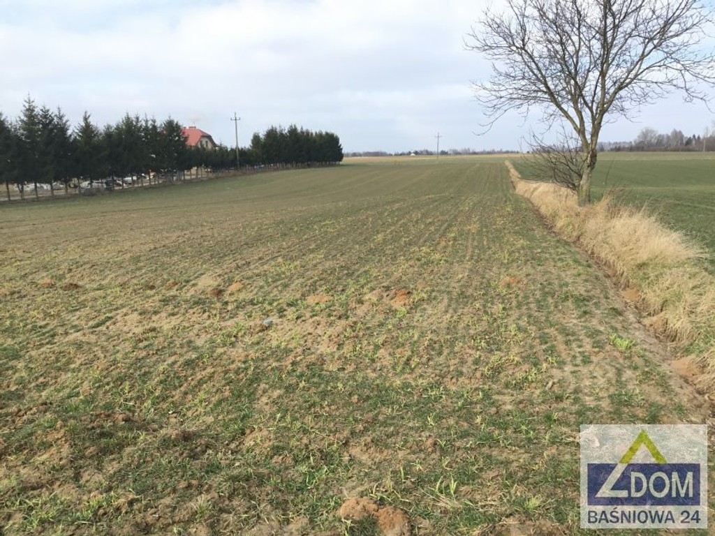 Działka bud-rolna w Rudce Kozłowieckiej. - Widok 2