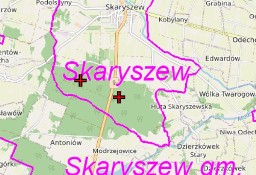 Działka leśna Skaryszew