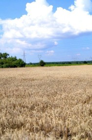 Działka rolna Kobylanka-2