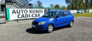 Skoda Fabia II Bardzo ekonomiczne