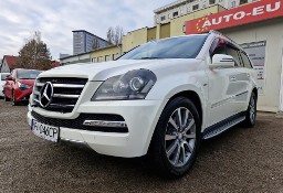 Mercedes-Benz Klasa GL X164 GL500, faktura Vat-23%, netto:113 tys,import Japonia!