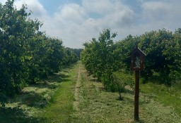 Działka rolna Gostyń