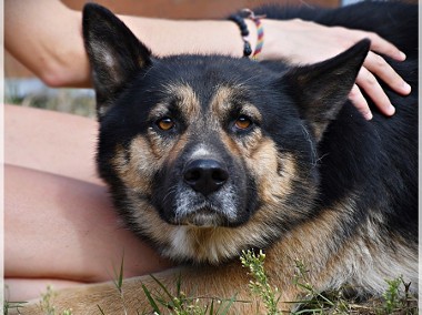 Mati - gdyby ktoś zechciał dać mu szansę-1