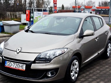 Renault Megane III-1