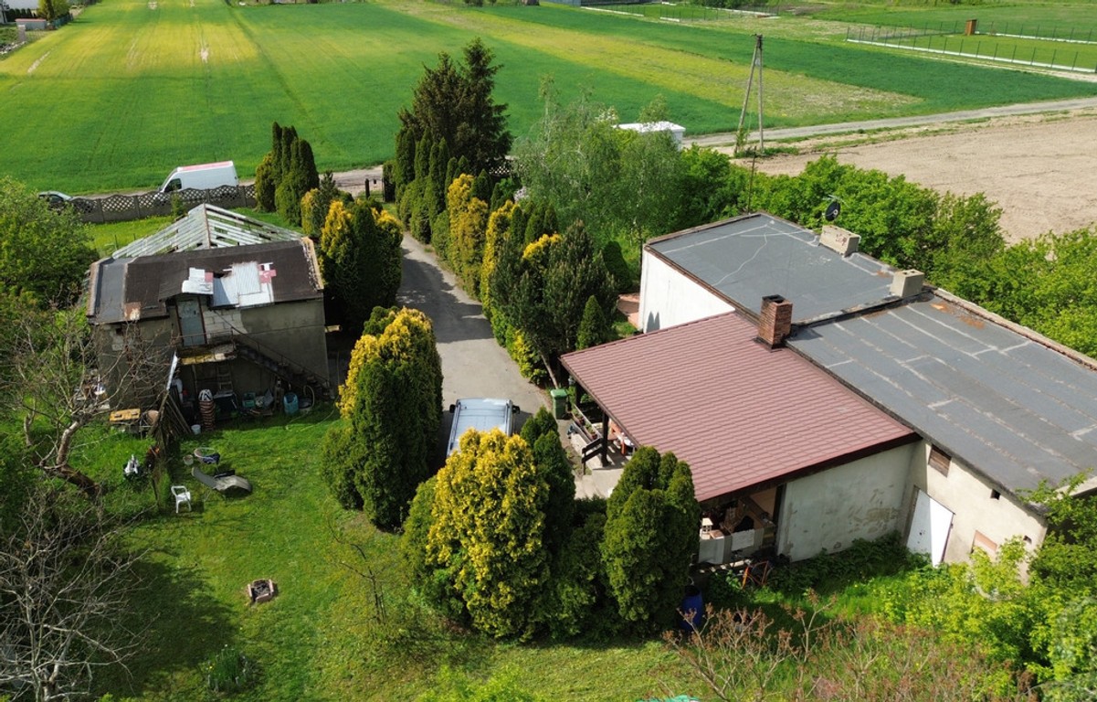 Teren inwestycyjny 4005 m² przy przy węźle S8 - Widok 6