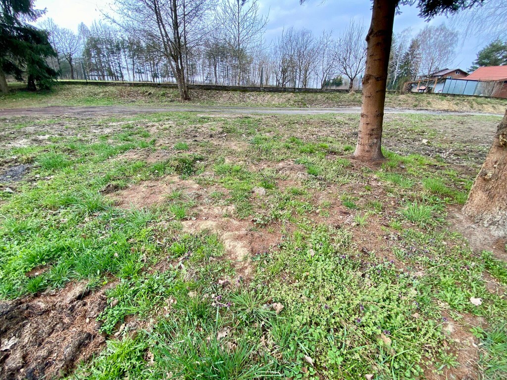 Działka budowlana w Zaczarniu w otoczeniu przyrody - Widok 2
