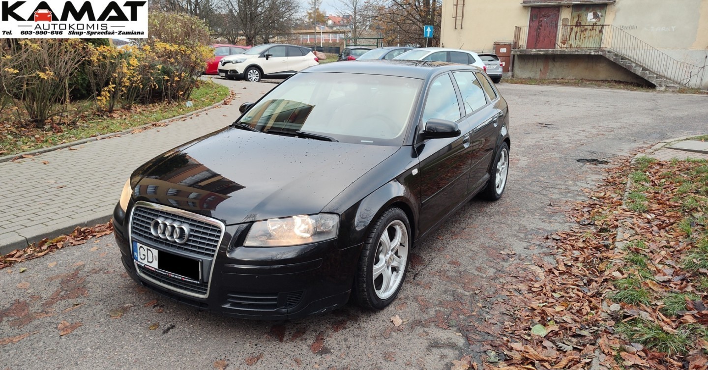 Audi A3 II (8P)