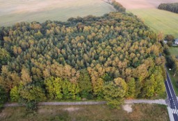 Działka inna Głobino, ul. Przy Lesie