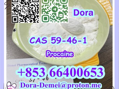 Procaine，CAS 59-46-1-1