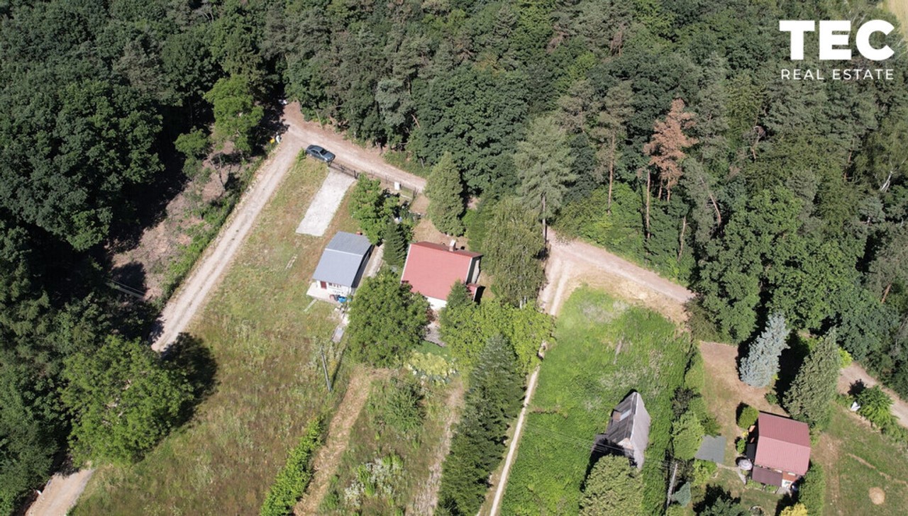 Dom marzeń | Las | Piękny widok - Widok 4