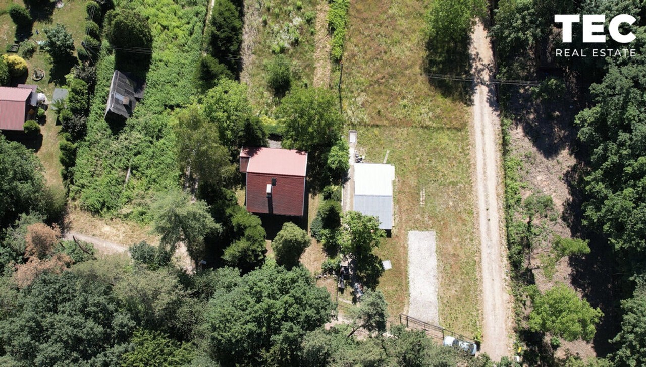 Dom marzeń | Las | Piękny widok - Widok 5