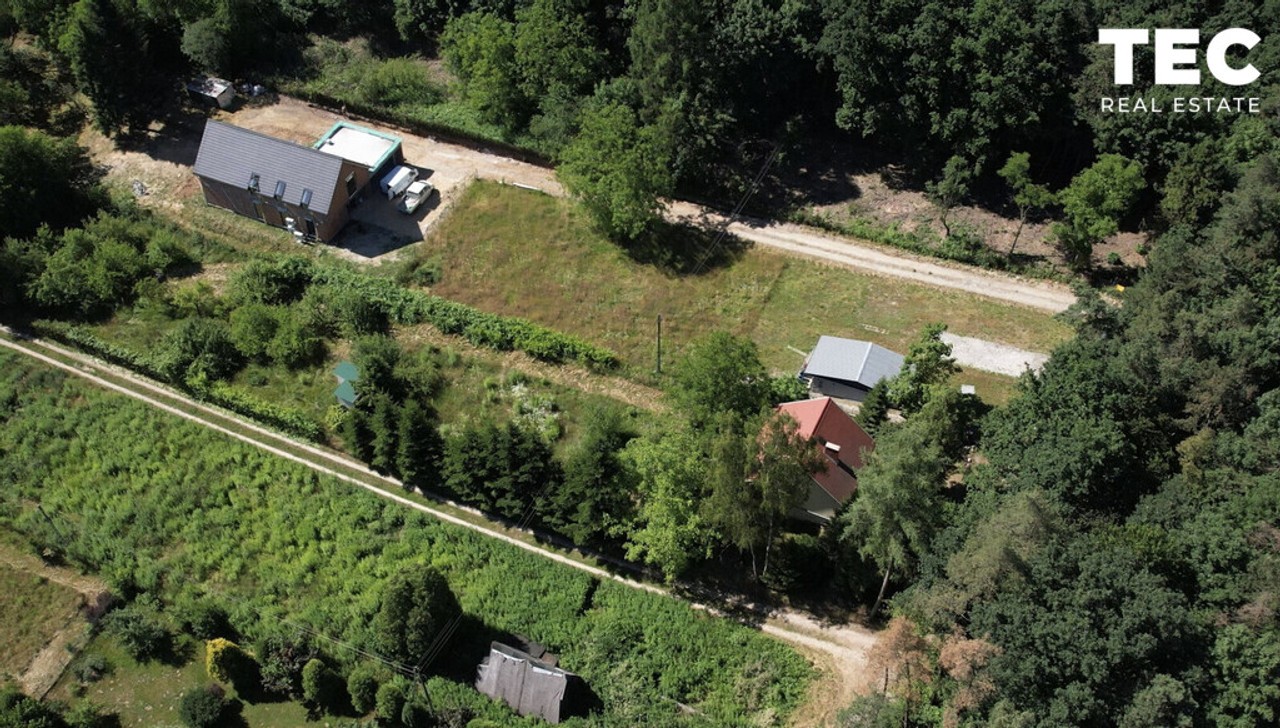 Dom marzeń | Las | Piękny widok - Widok 6