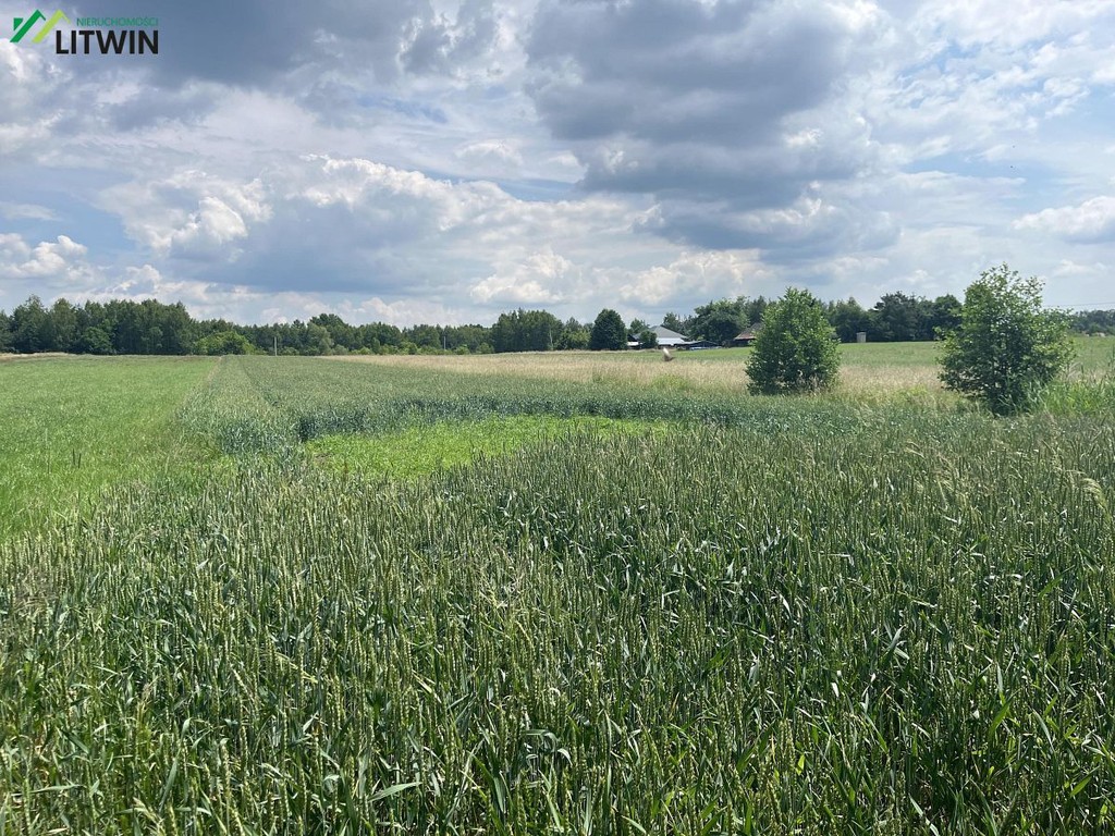 Działka rolna 47 ar w Machowej w gm. Pilzno - View 6