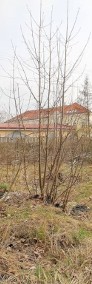 Działka budowlano - usługowa w Jaworze-4