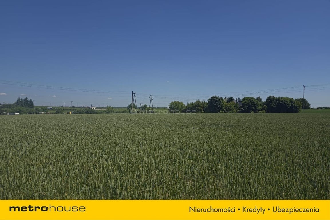 Działka z MPZP Nieżychowice k. Chojnic - Widok 5