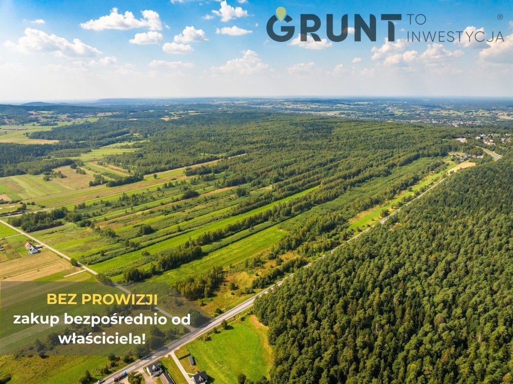 Kompleks działek budowlanych pod lasem - Widok 2