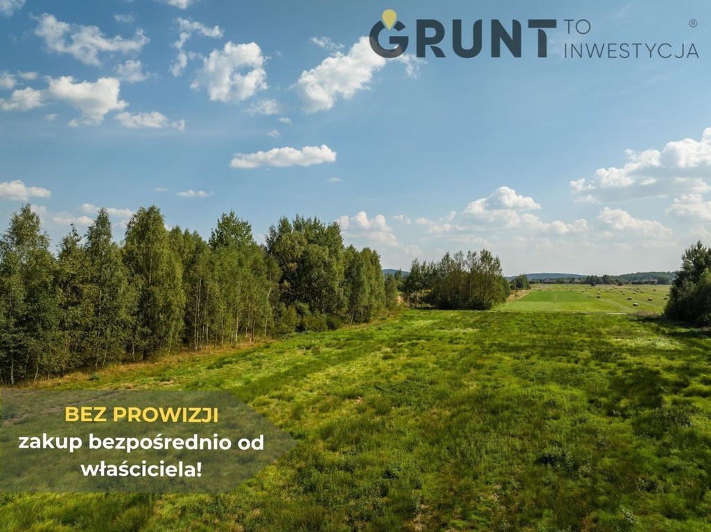 Kompleks działek budowlanych pod lasem - Widok 5