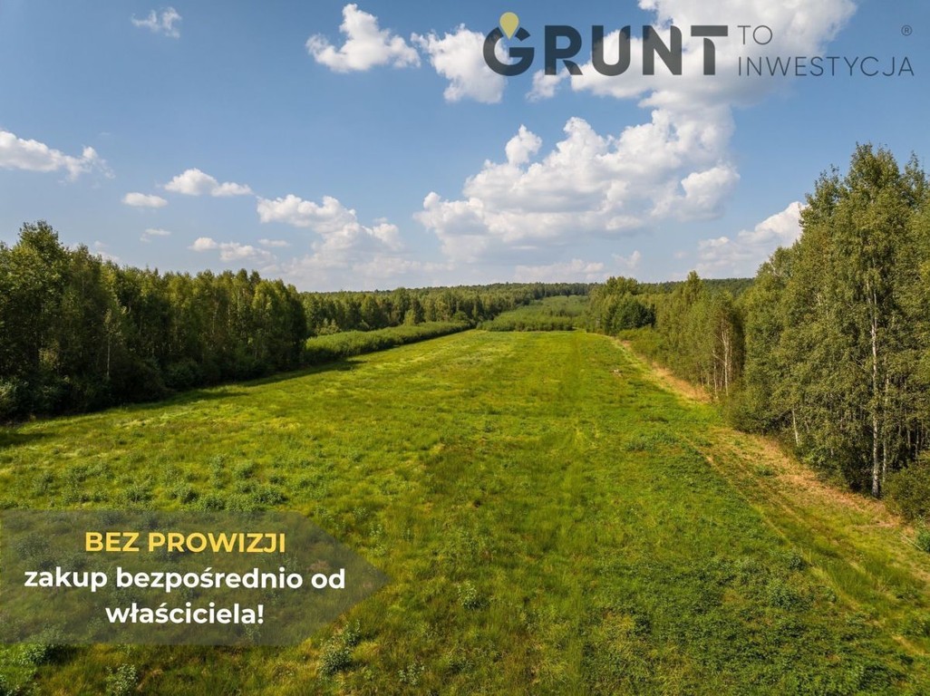 Kompleks działek budowlanych pod lasem - Widok 6