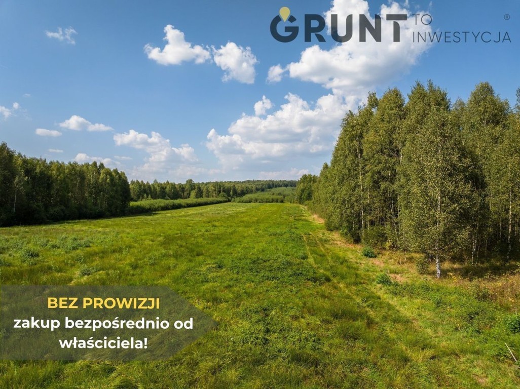 Kompleks działek budowlanych pod lasem - Więcej