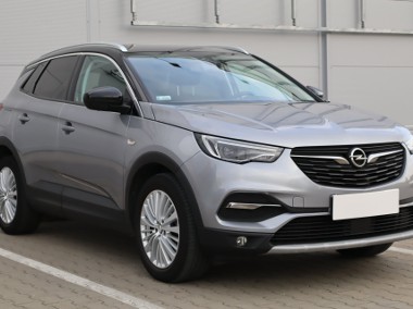 Opel , Salon Polska, Serwis ASO, Skóra, Navi, Klimatronic,-1