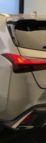 Lexus UX 300h F Sport Design 2.0 Hybrid Dynamic Force UX 300h F Sport Design 2.0-3
