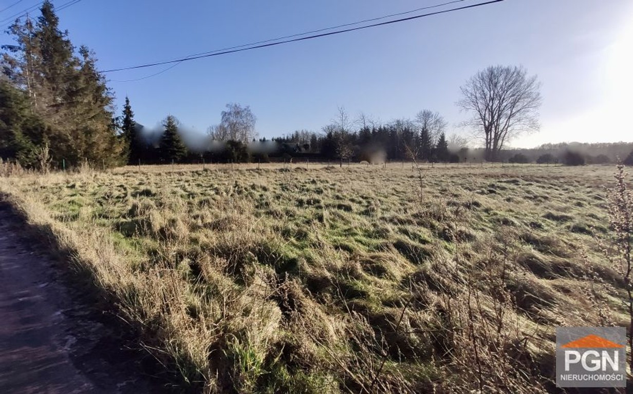 Duża działka o pow. 4892 m² na wyspie Wolin – pohled 2