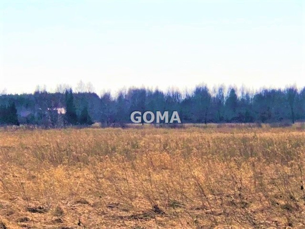 Dębe Wielkie - 7191 m² -15km -W-wa , 5km-A2 - Widok 3