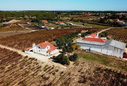 Dom Vila Chã De Ourique