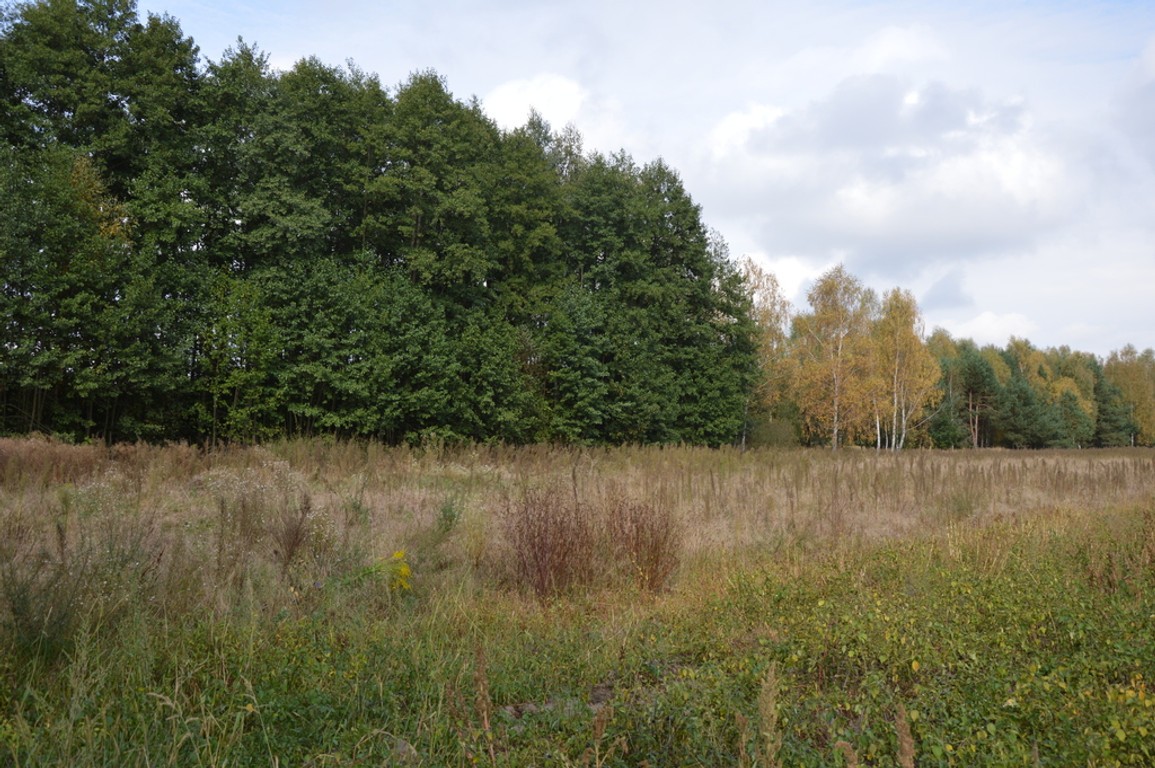 Działka, Klarów, 1,09 ha - Widok 2