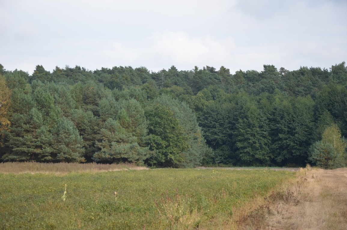 Działka, Klarów, 1,09 ha - Widok 3