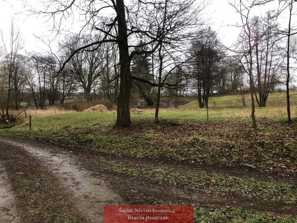 KOTLINA KŁODZKA - ŁĘŻYCE - 1070 M2 - Widok 6