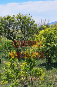 Ziemia rolna z drzewkami pomarańczowymi 100 m od rzeki w Cullera, Walencja-2