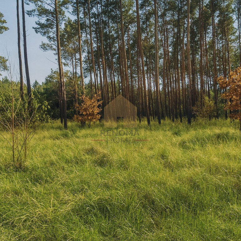 Wyjątkowa działka w Drzonkowie – pohled 2
