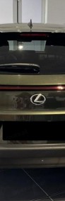 Lexus UX 300h Business 2.0 Hybrid Dynamic Force 300h Business 2.0 Hybrid Dynamic-4