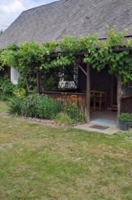 Agroturystyka przytulny domek pod winoroślą -2