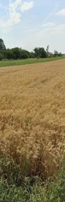 Grunt rolny w Lublinie o powierzchni 54 ar-3
