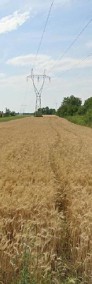 Grunt rolny w Lublinie o powierzchni 54 ar-4