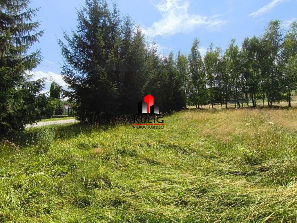 Piękna działka budowlana 10ar, Łapanów Tarnawa - Widok 2
